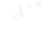 Ampelographe - logo